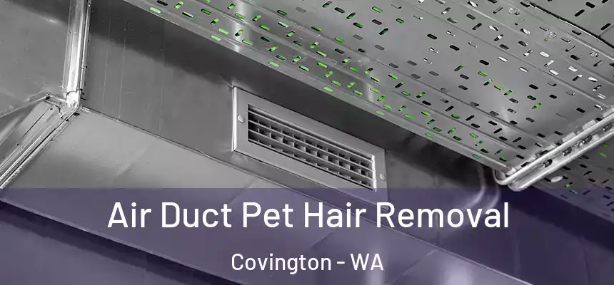  Air Duct Pet Hair Removal Covington - WA
