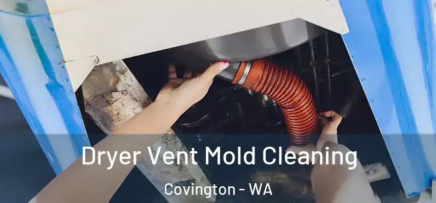  Dryer Vent Mold Cleaning Covington - WA