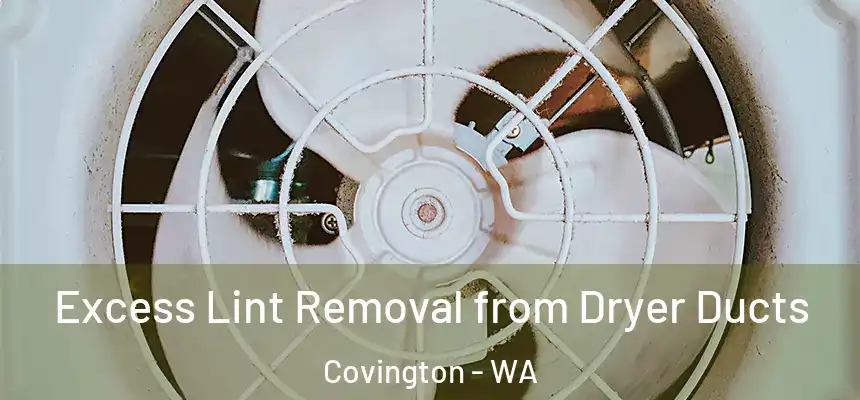  Excess Lint Removal from Dryer Ducts Covington - WA