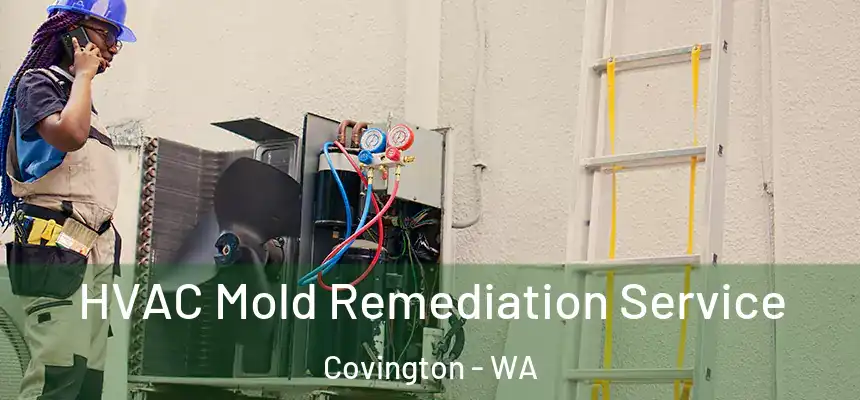  HVAC Mold Remediation Service Covington - WA