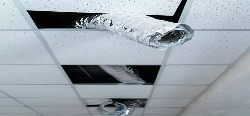 Affordable HVAC Sanitizing After Pest Removal in Covington