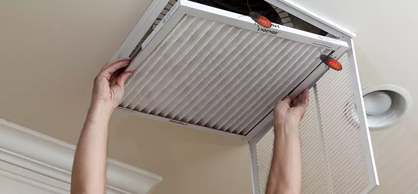 Our Insect Removal from Air Ducts Services in Covington, WA