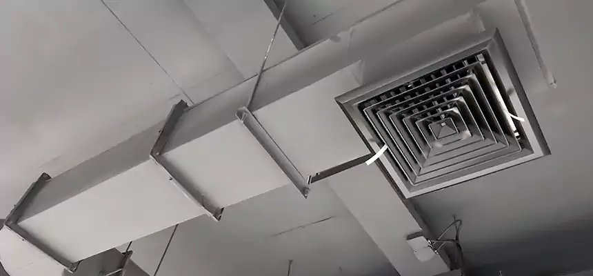 Our Pest Removal From Ducts Services in Covington, WA