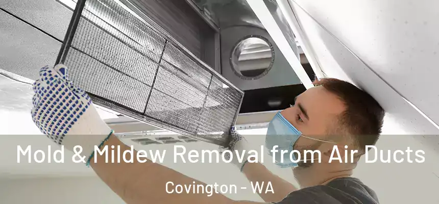  Mold & Mildew Removal from Air Ducts Covington - WA