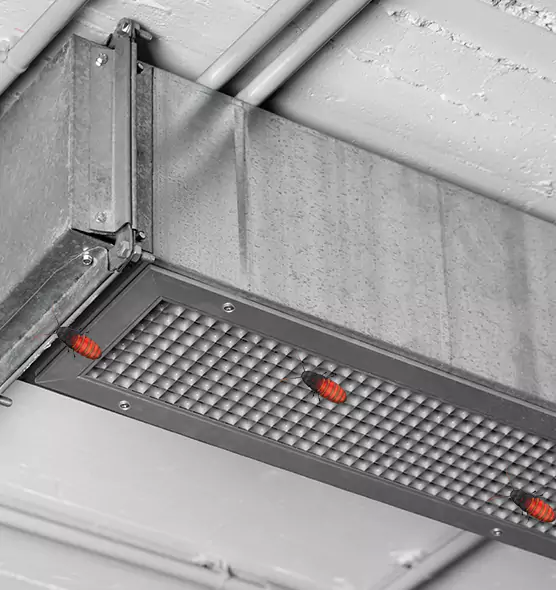 Affordable Insect Removal from Air Ducts in Covington, WA