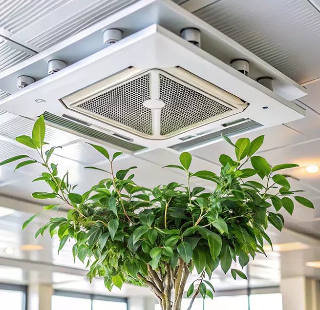 Why Homeowners & Businesses Trust Us in Covington, WA?